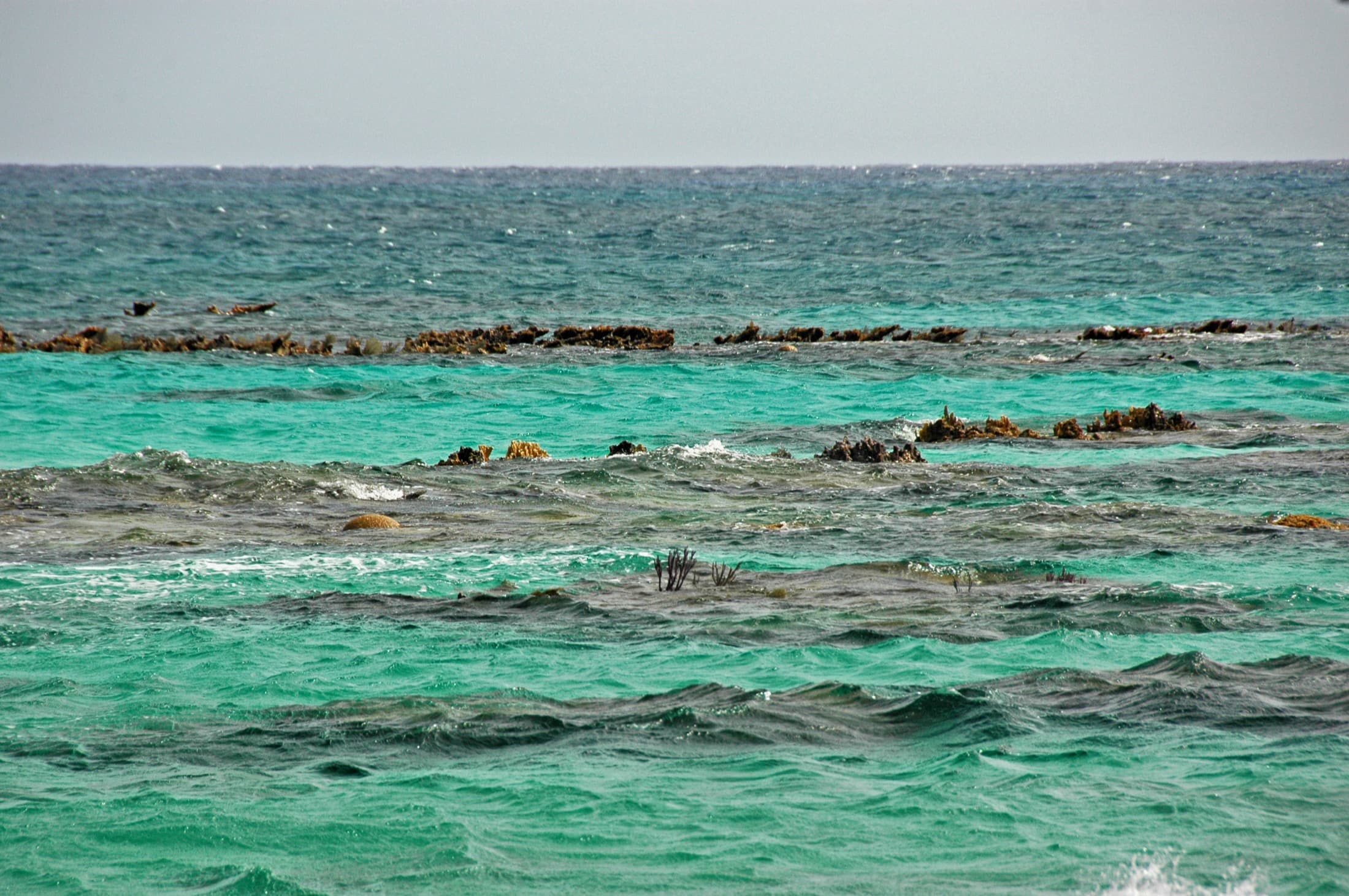 Reef rock breaking the surface at low tide, French Bay, San Salvador Island